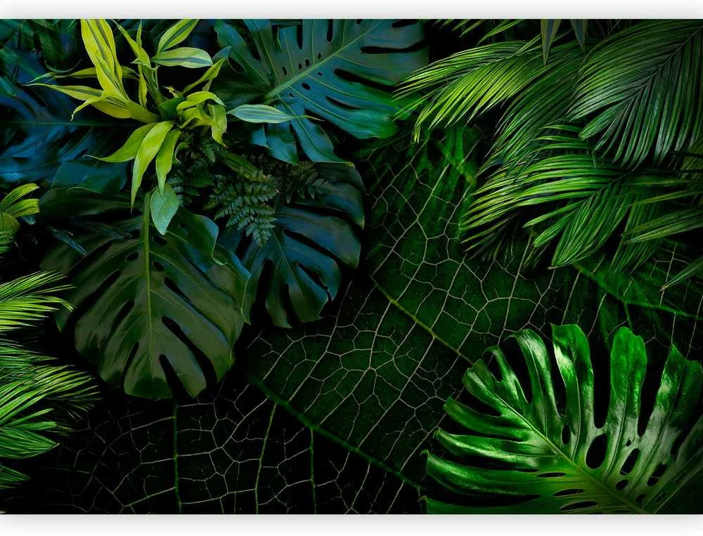 Artgeist Fototapetas - Dark Jungle