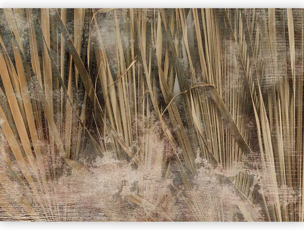 Artgeist Fototapetas - Dry leaves - landscape of tall grasses in boho style with paint patterns