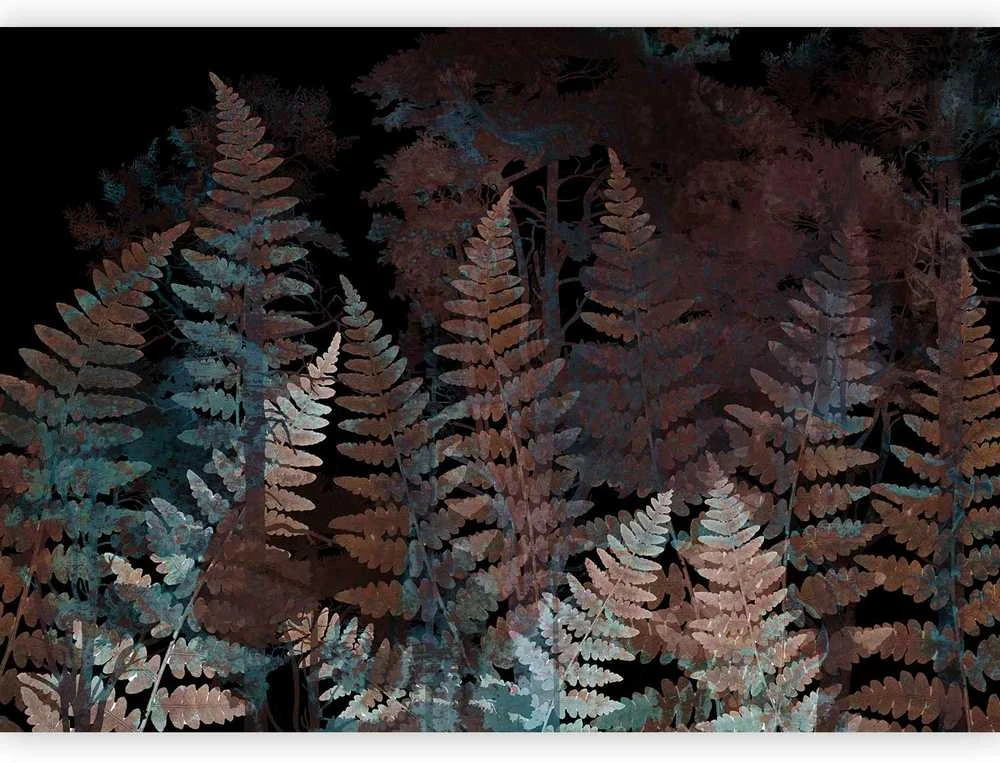 Artgeist Fototapetas - Ferns in the Woods - Third Variant