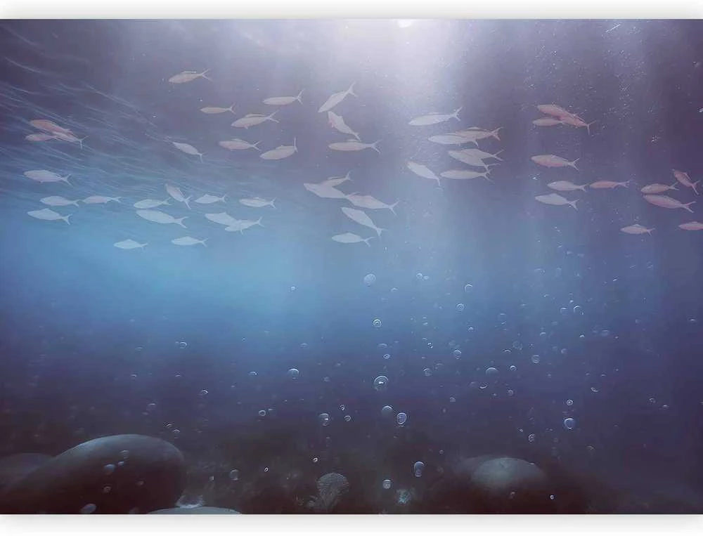 Artgeist Fototapetas - Fish in the depths