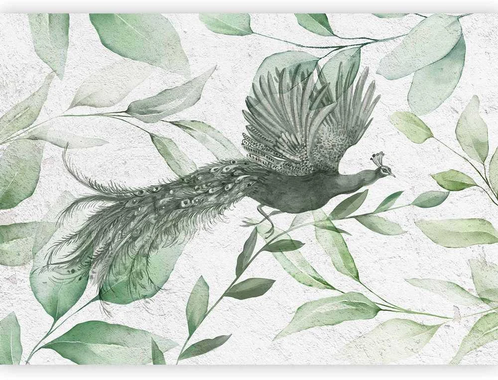 Artgeist Fototapetas - Flight of a Peacock - Third Variant