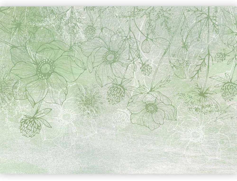 Artgeist Fototapetas - Flowery meadow - nature with field flowers lineart on žalias background