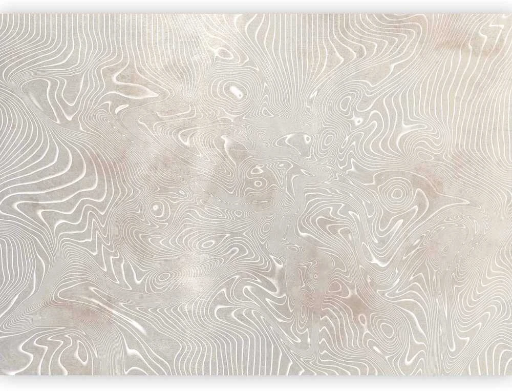 Artgeist Fototapetas - Flowing shapes - abstract beige and baltas background in patterned compositions