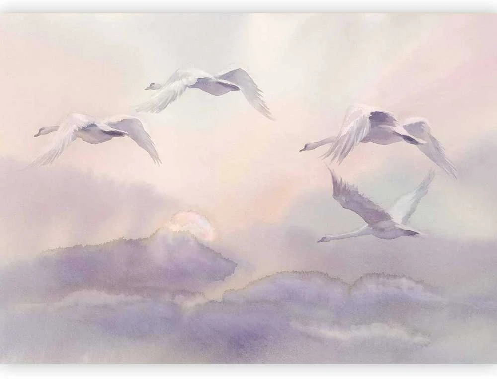 Artgeist Fototapetas - Flying Swans