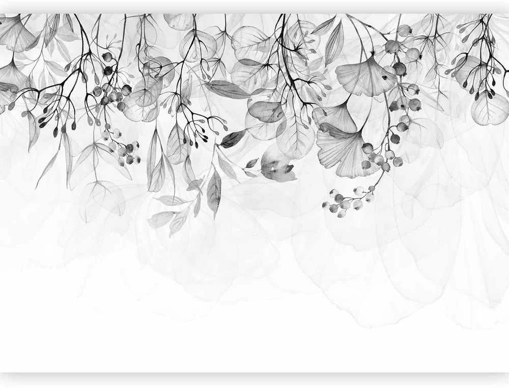Artgeist Fototapetas - Foggy Nature - Pilkas