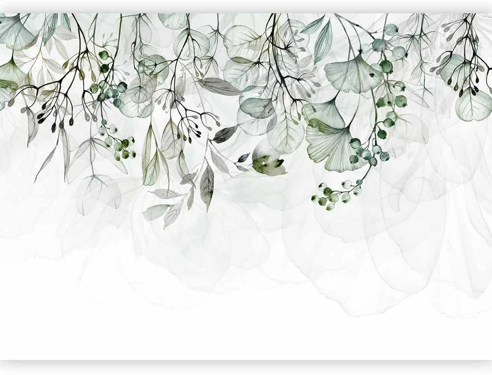 Artgeist Fototapetas - Foggy Nature - Žalias