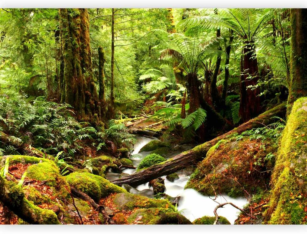 Artgeist Fototapetas - Forest Brook
