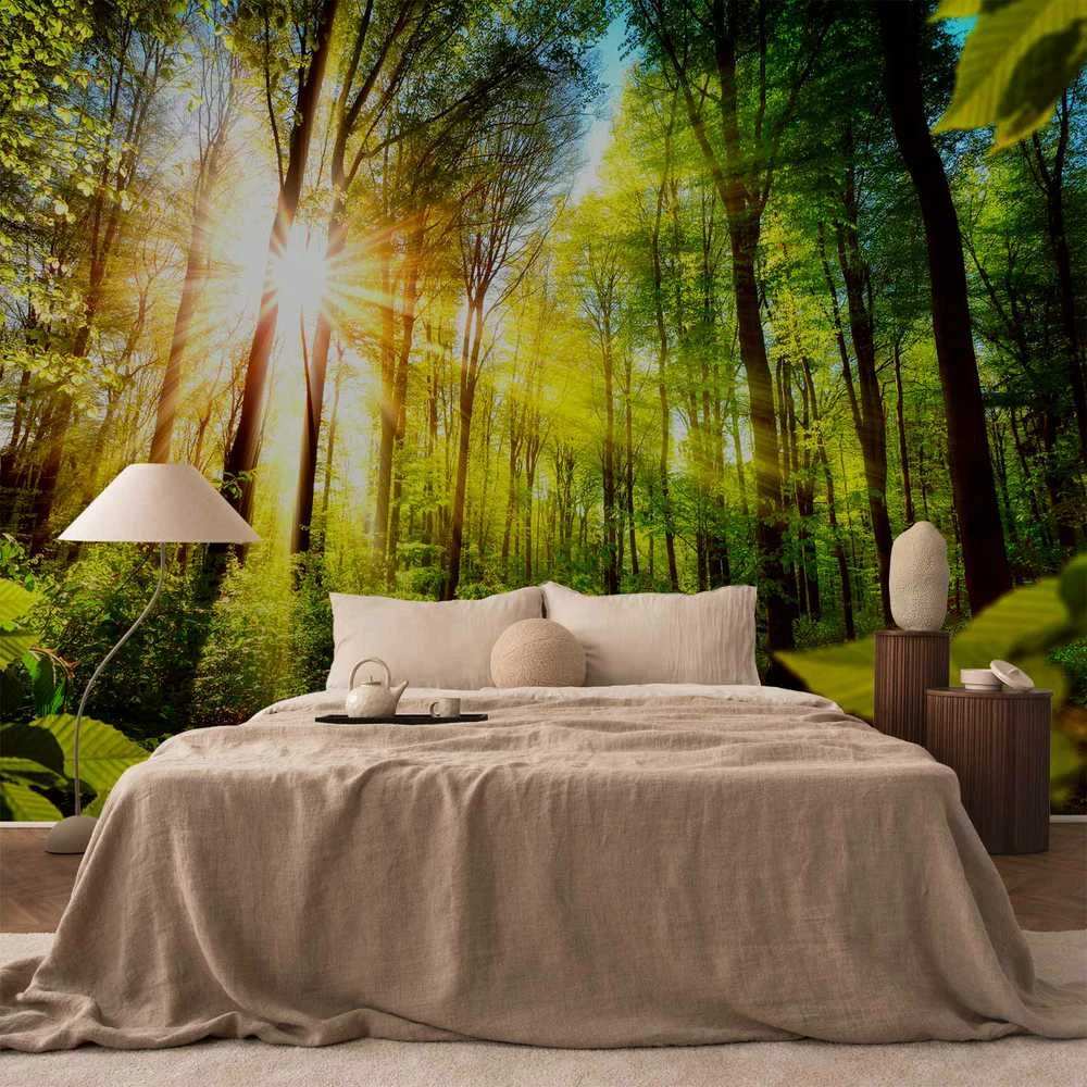 Artgeist Fototapetas - Forest Hideout
