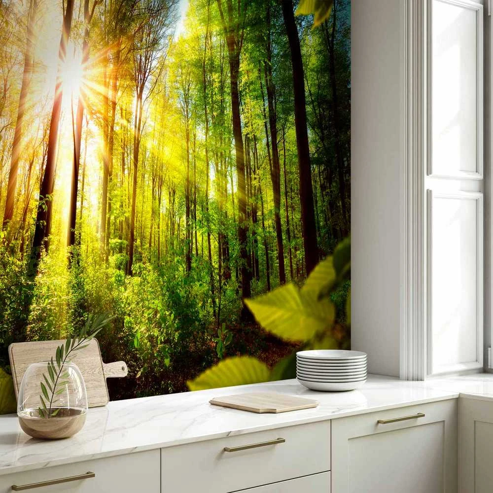 Artgeist Fototapetas - Forest Hideout