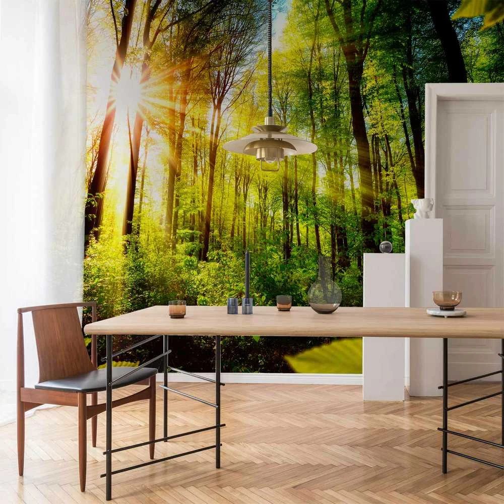 Artgeist Fototapetas - Forest Hideout