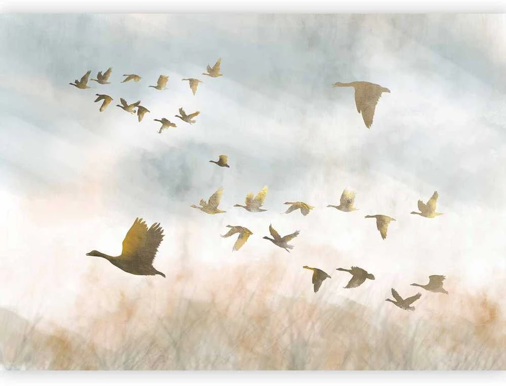 Artgeist Fototapetas - Golden Geese