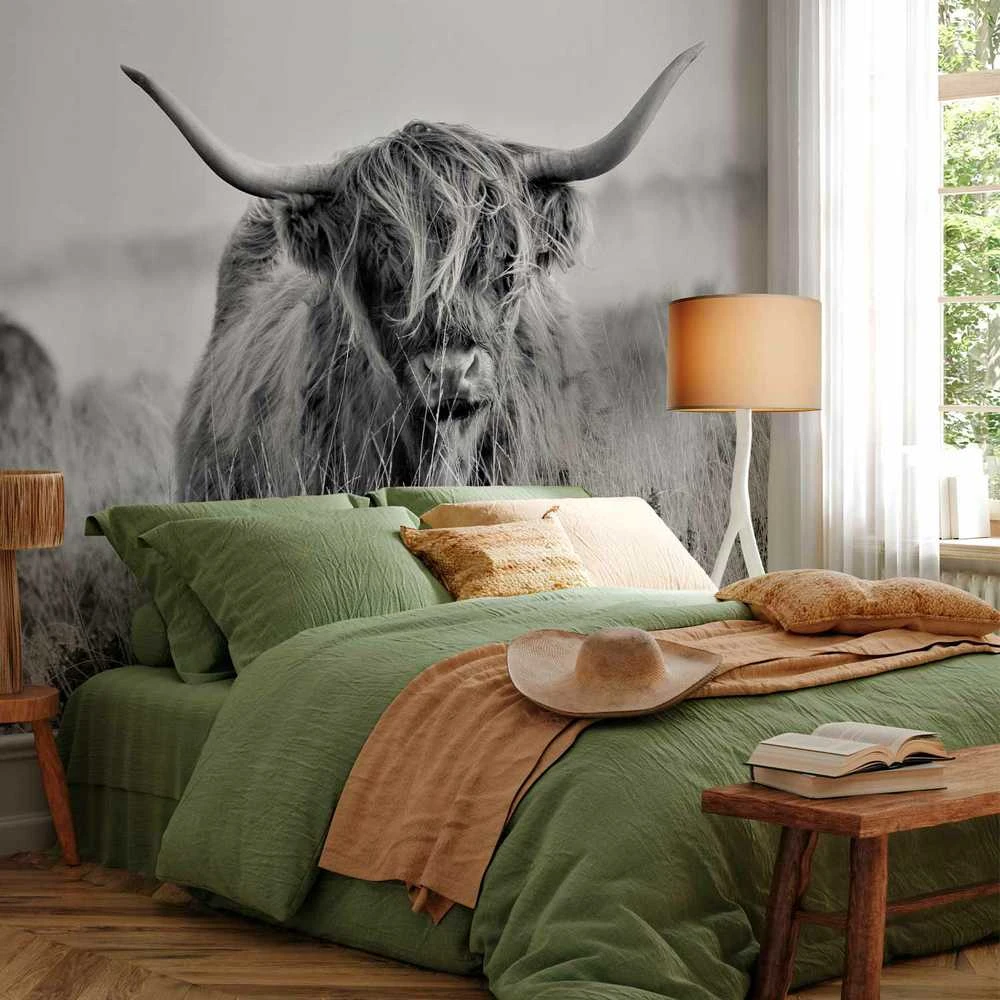 Artgeist Fototapetas - Highland Cattle