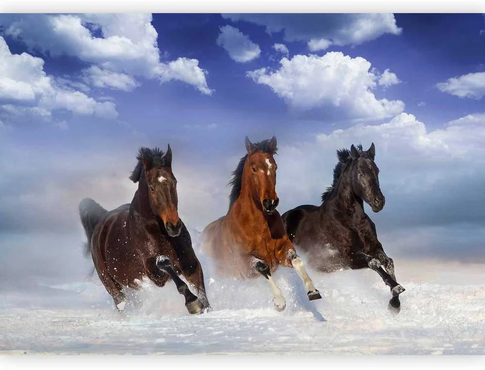 Artgeist Fototapetas - Horses in the Snow