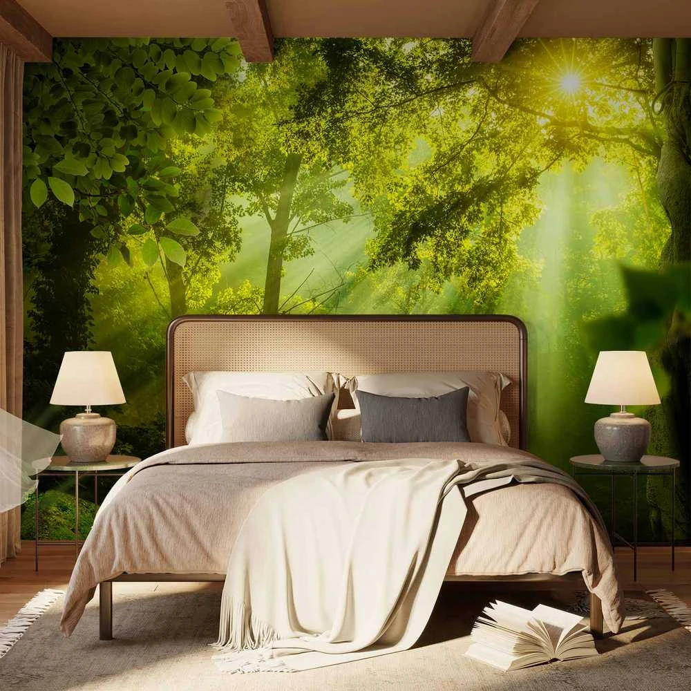 Artgeist Fototapetas - In a Secret Forest