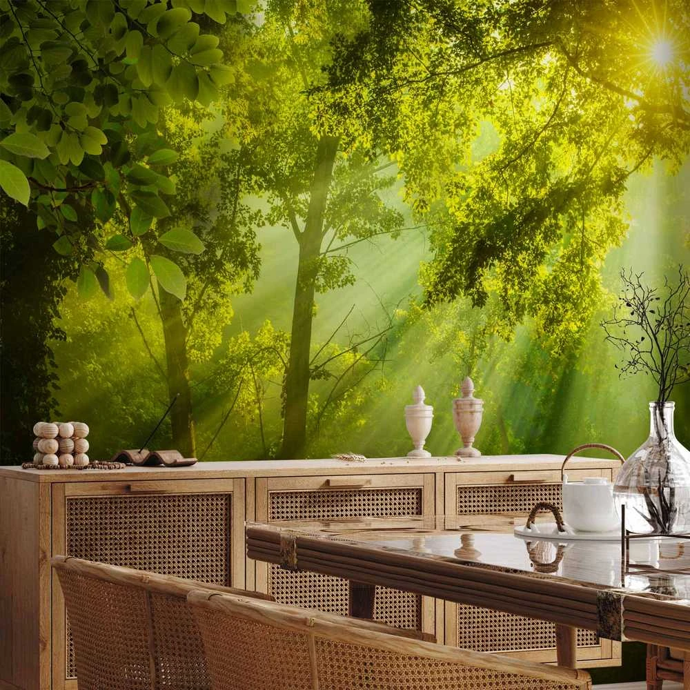 Artgeist Fototapetas - In a Secret Forest