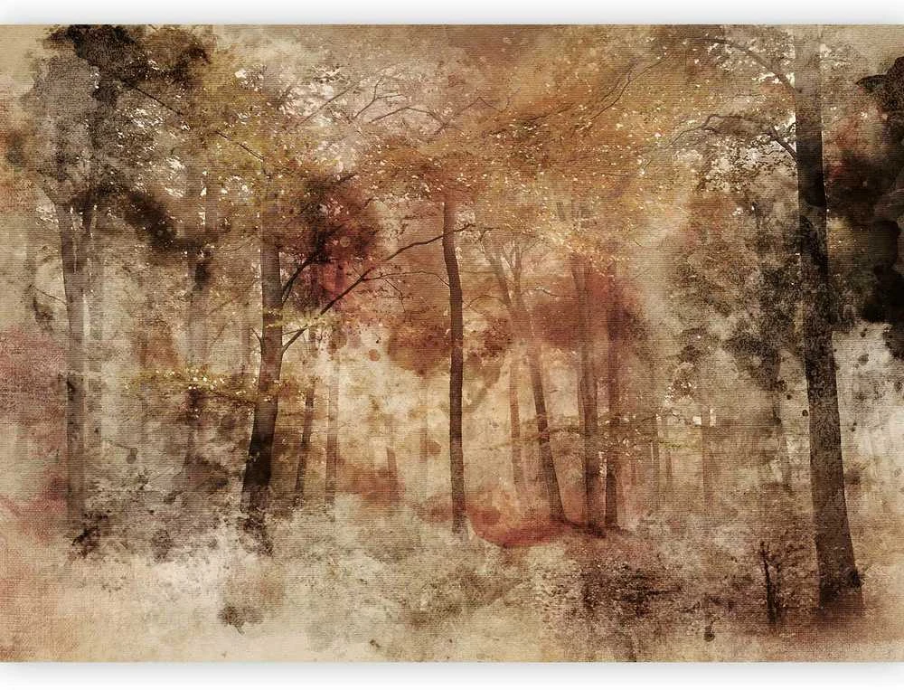 Artgeist Fototapetas - Lost in the woods