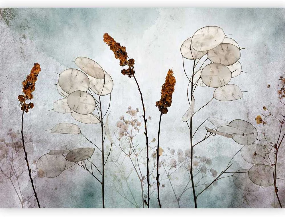 Artgeist Fototapetas - Lunaria in the Meadow