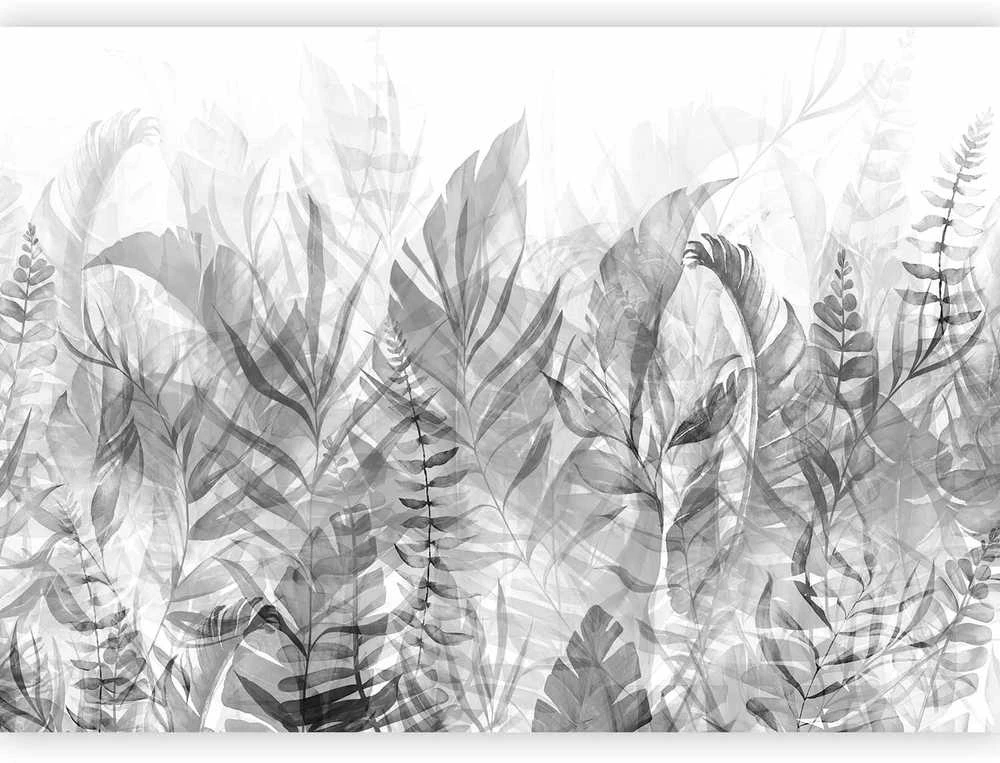 Artgeist Fototapetas - Magic Grove (Juodas and Baltas)