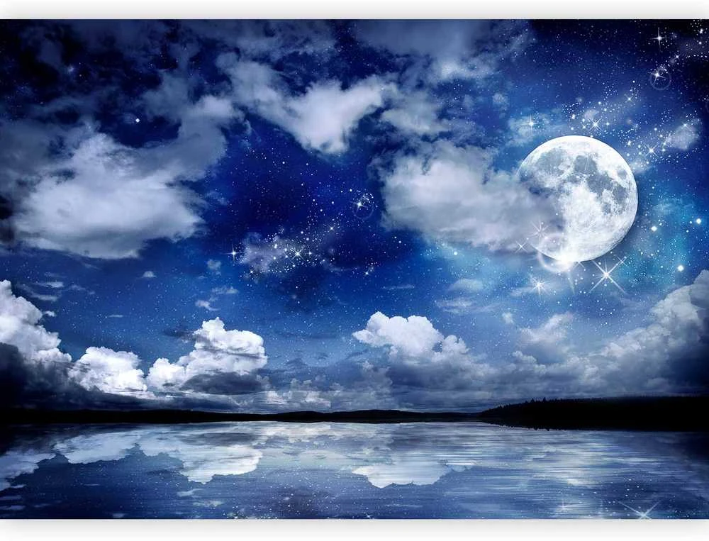 Artgeist Fototapetas - Magic night