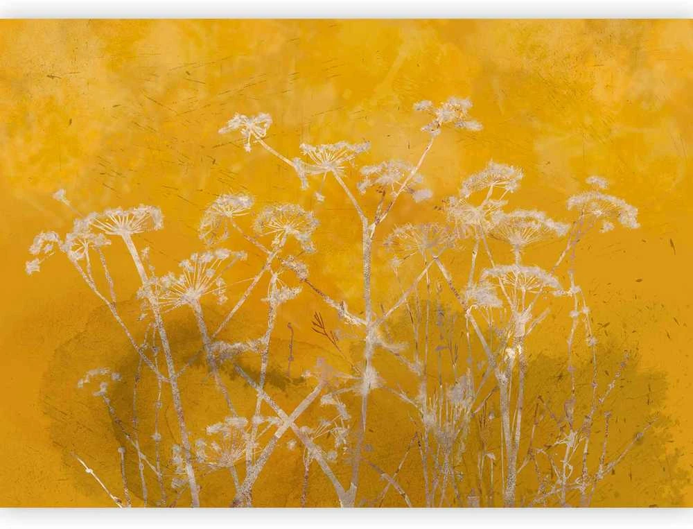 Artgeist Fototapetas - Meadow Bathed in the Sun