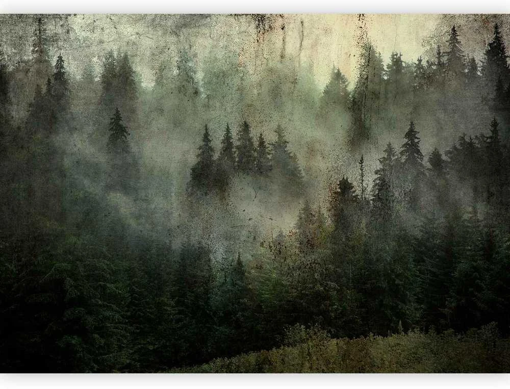Artgeist Fototapetas - Misty Beauty of the Forest