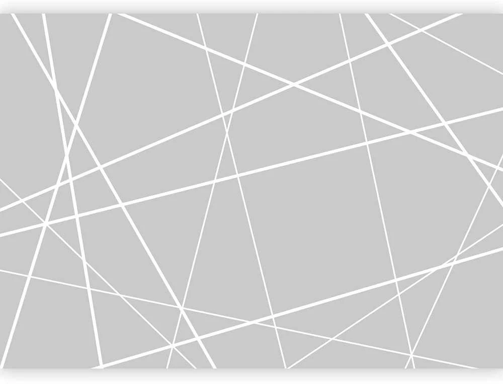 Artgeist Fototapetas - Modern Cobweb