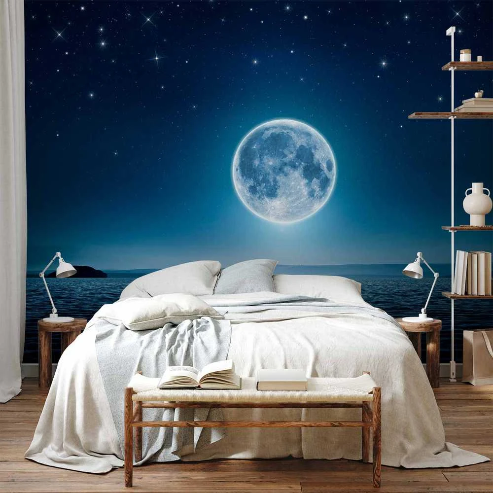 Artgeist Fototapetas - Moonlit night
