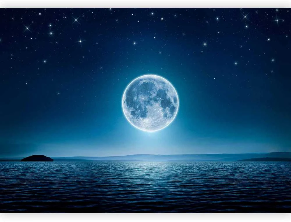 Artgeist Fototapetas - Moonlit night