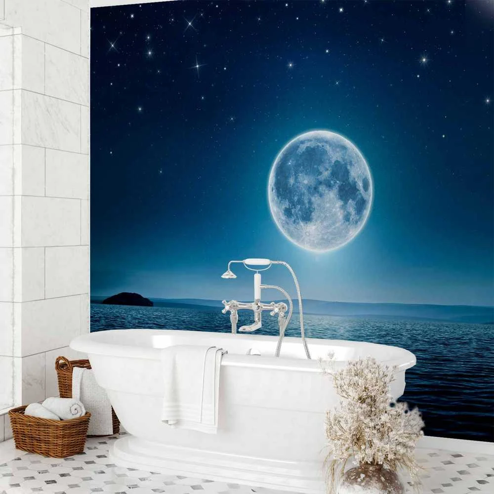 Artgeist Fototapetas - Moonlit night
