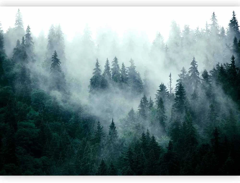 Artgeist Fototapetas - Mountain Forest (Dark Žalias)