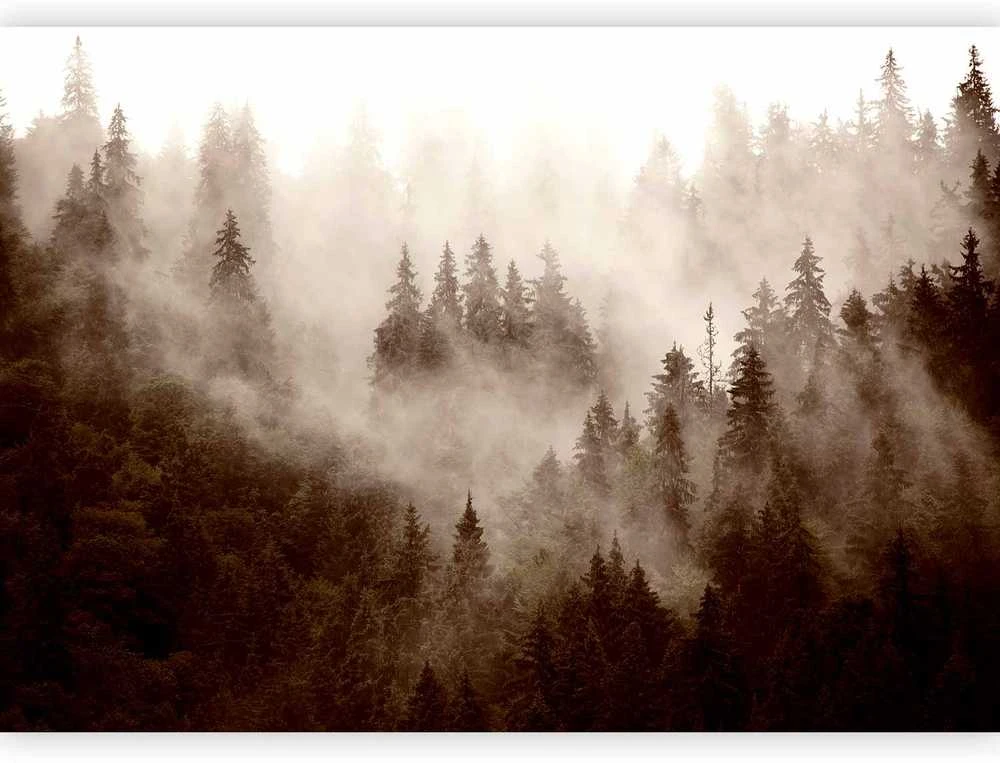 Artgeist Fototapetas - Mountain Forest (Sepia)