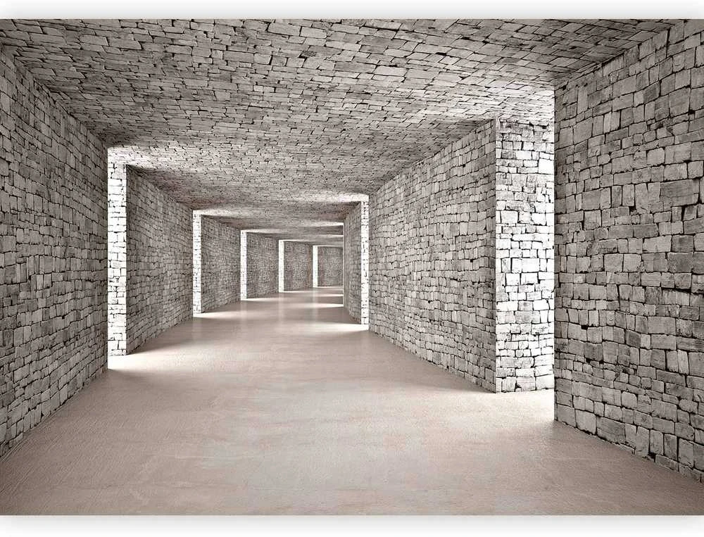 Artgeist Fototapetas - Mysterious Tunnel