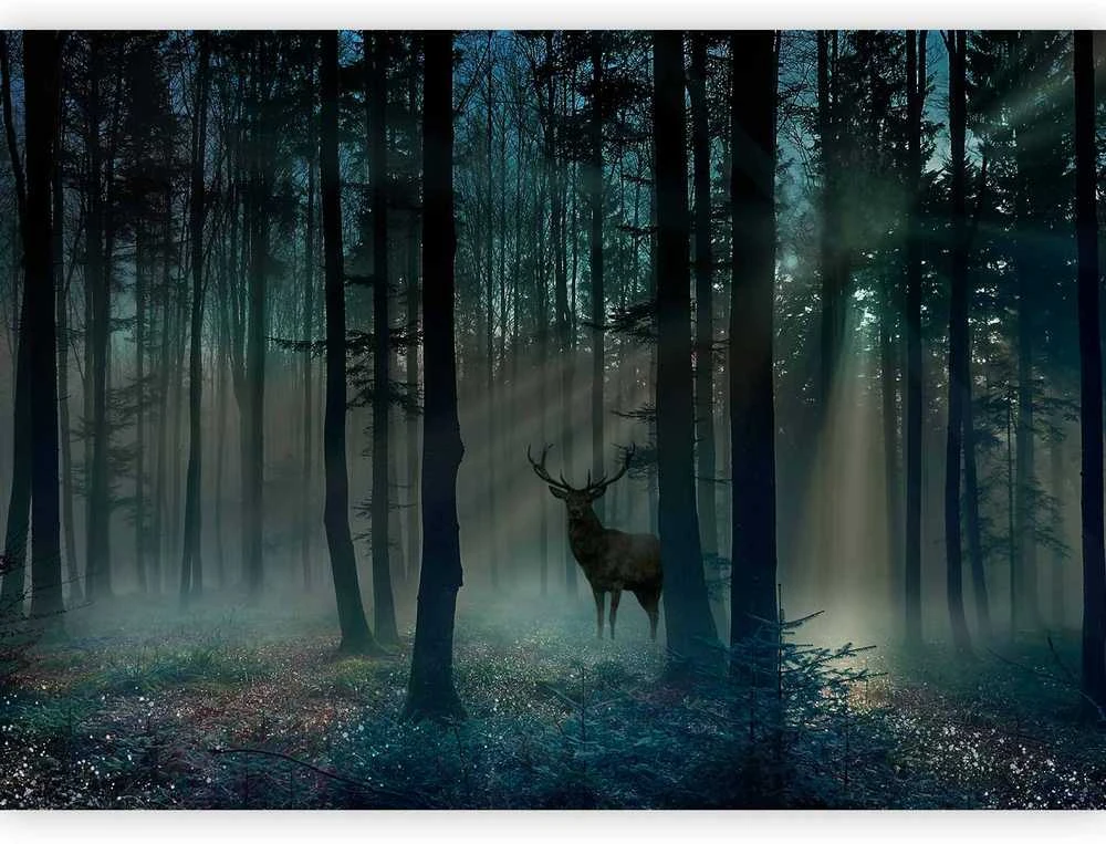 Artgeist Fototapetas - Mystical Forest - Third Variant