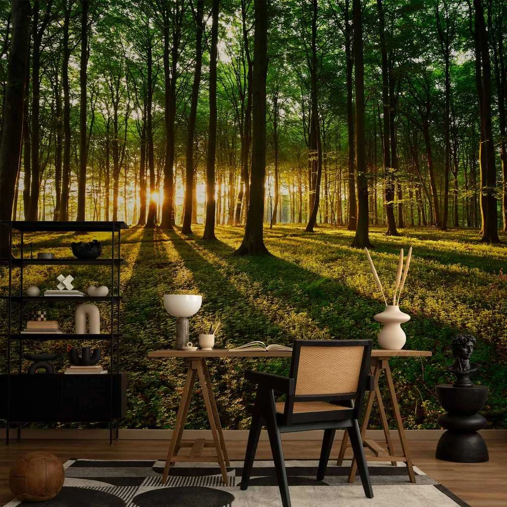 Artgeist Fototapetas - Mystical Morning