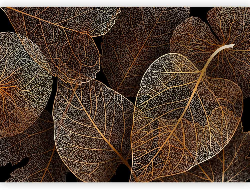 Artgeist Fototapetas - Nature in My Home - First Variant