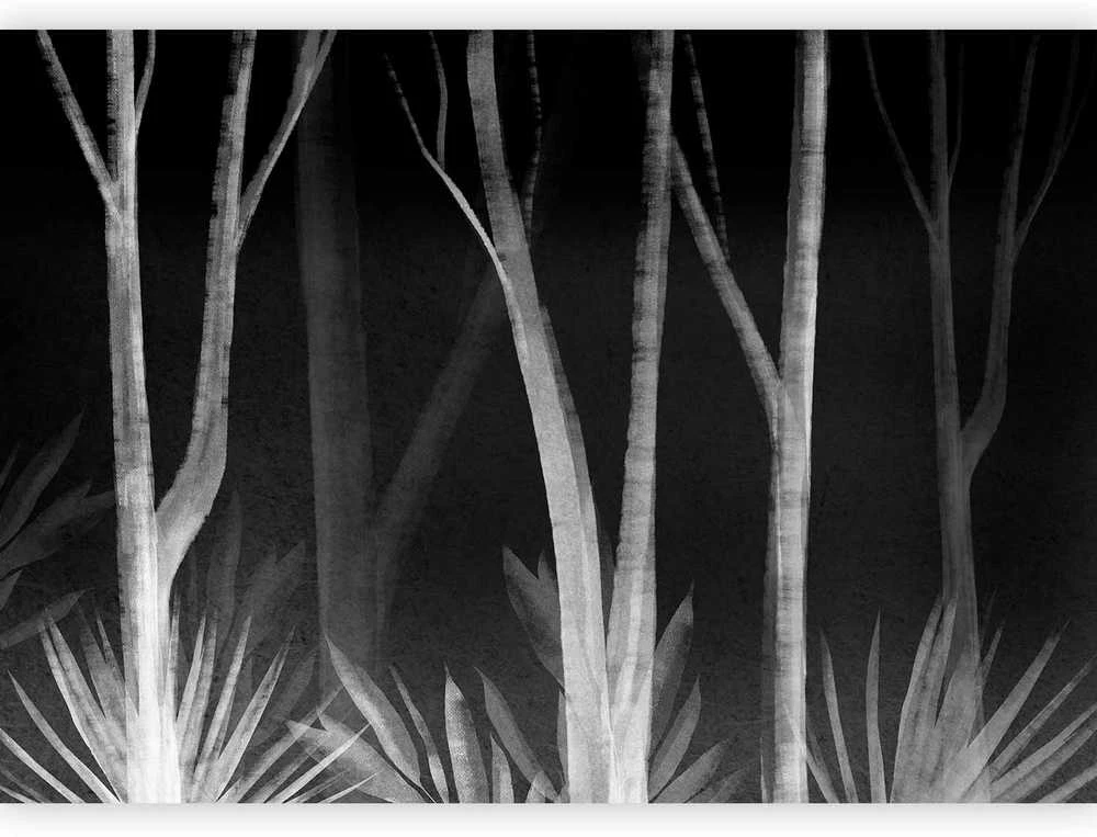 Artgeist Fototapetas - Noise of the forest at night - minimalist landscape of baltas trees on a juodas background