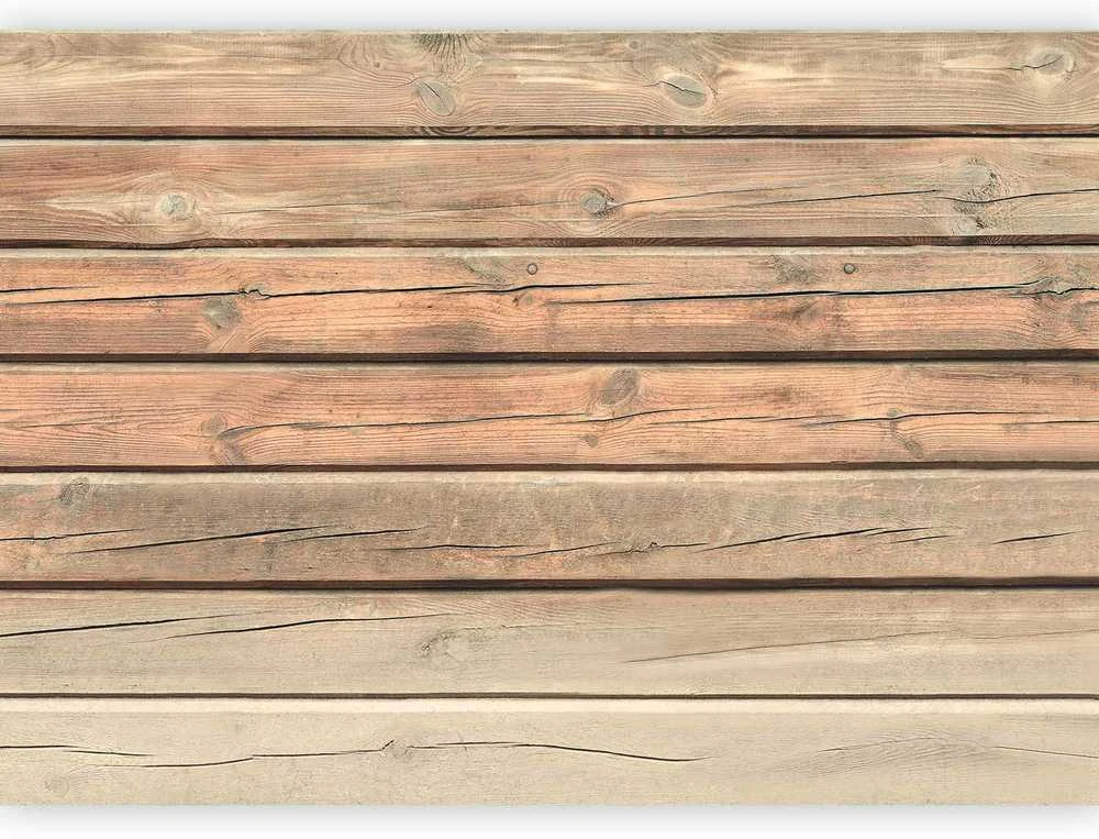 Artgeist Fototapetas - Old Pine