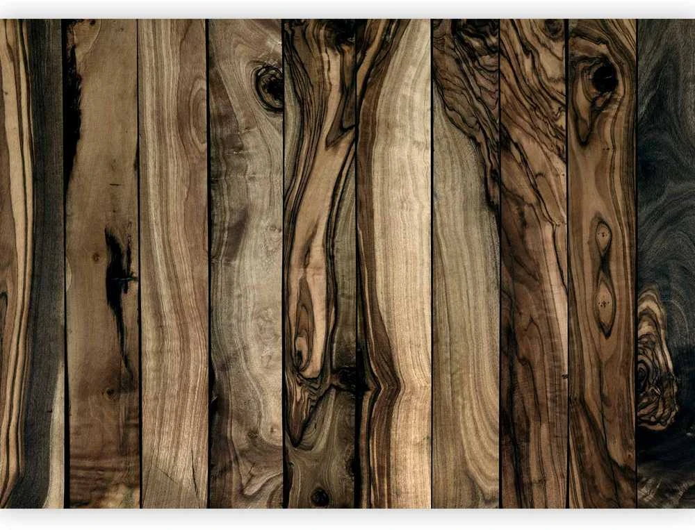 Artgeist Fototapetas - Olive Wood
