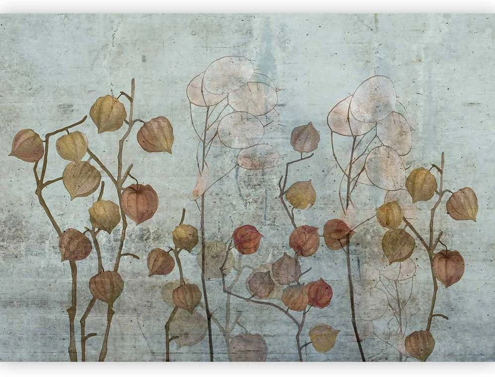 Artgeist Fototapetas - Painted Lunaria