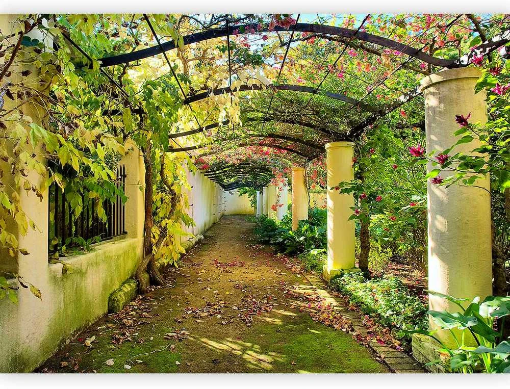 Artgeist Fototapetas - Pergola