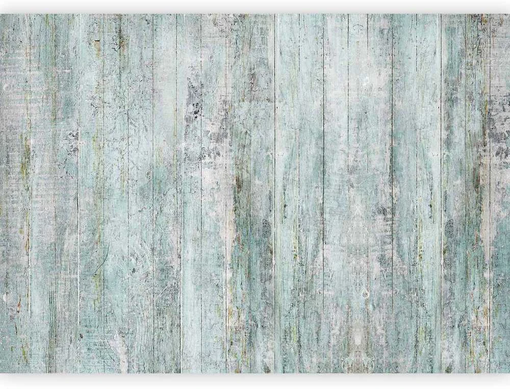 Artgeist Fototapetas - Rustic Textures - First Variant