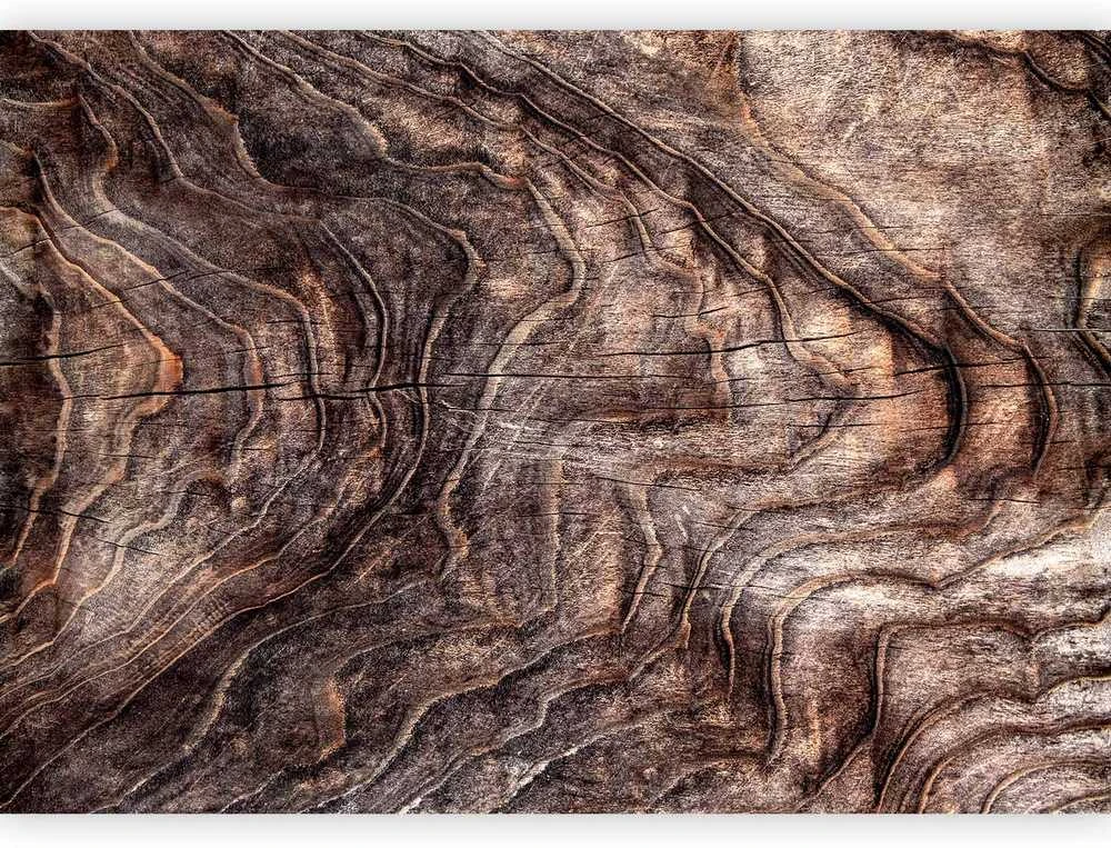 Artgeist Fototapetas - Signs of the times - an abstract background with the wrinkled bark of an old medžio