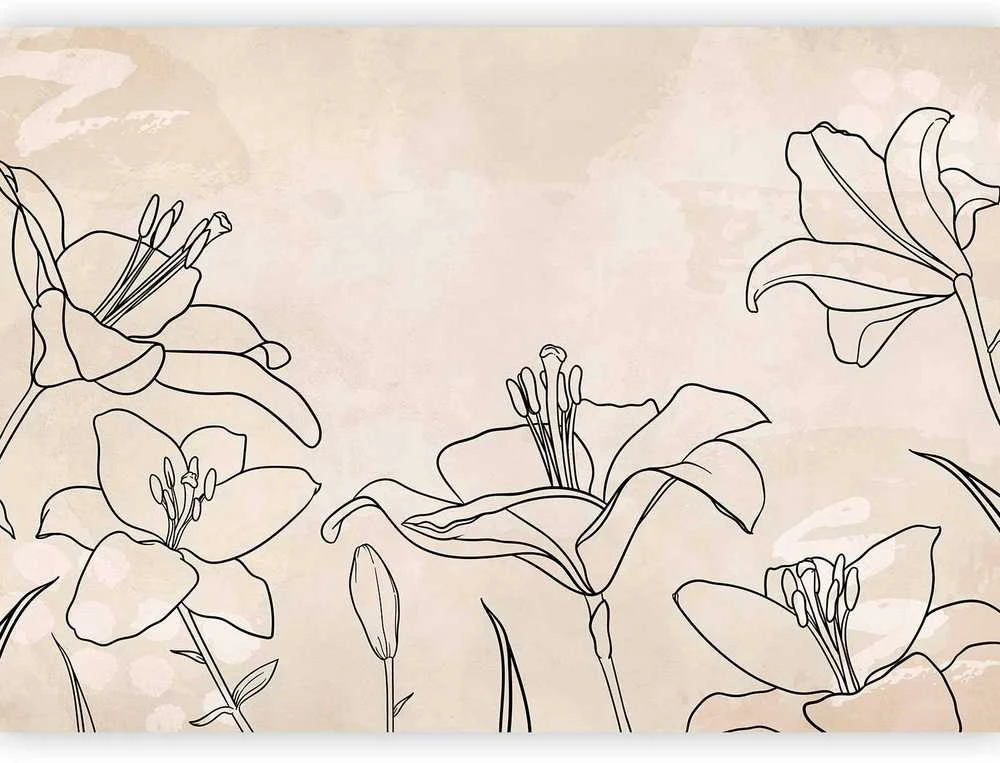 Artgeist Fototapetas - Sketch of nature - minimalist lineart with lily flowers on a beige background