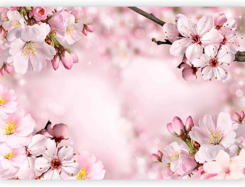 Artgeist Fototapetas - Spring Cherry Blossom