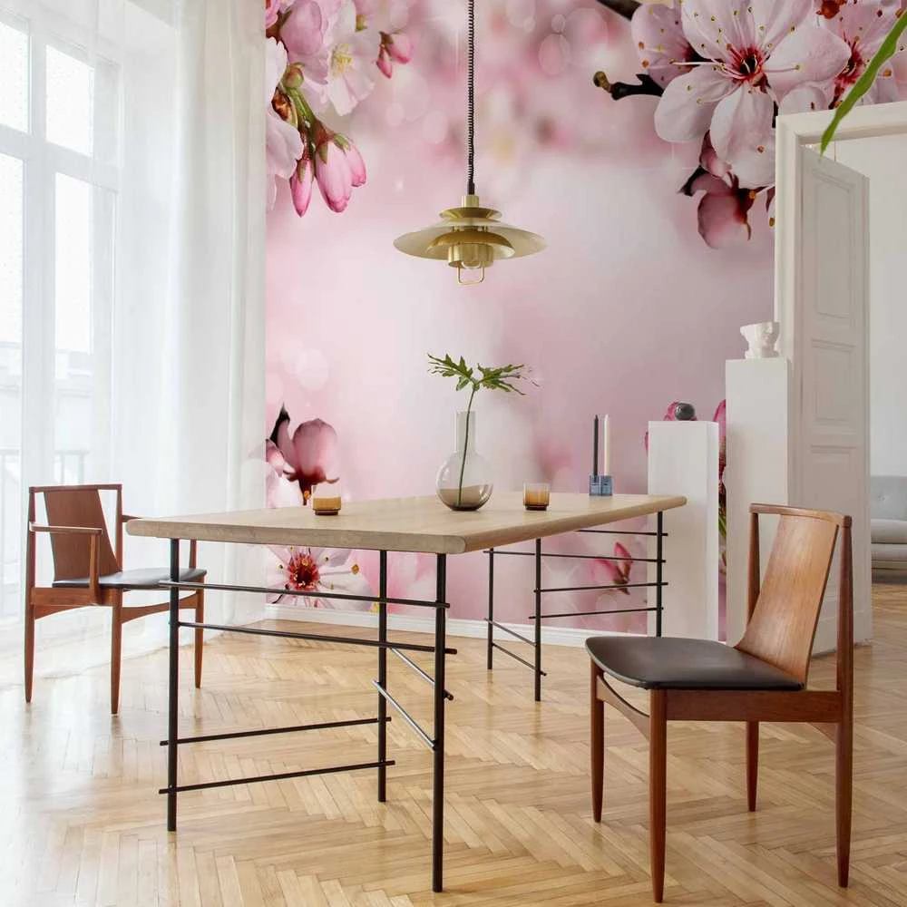 Artgeist Fototapetas - Spring Cherry Blossom