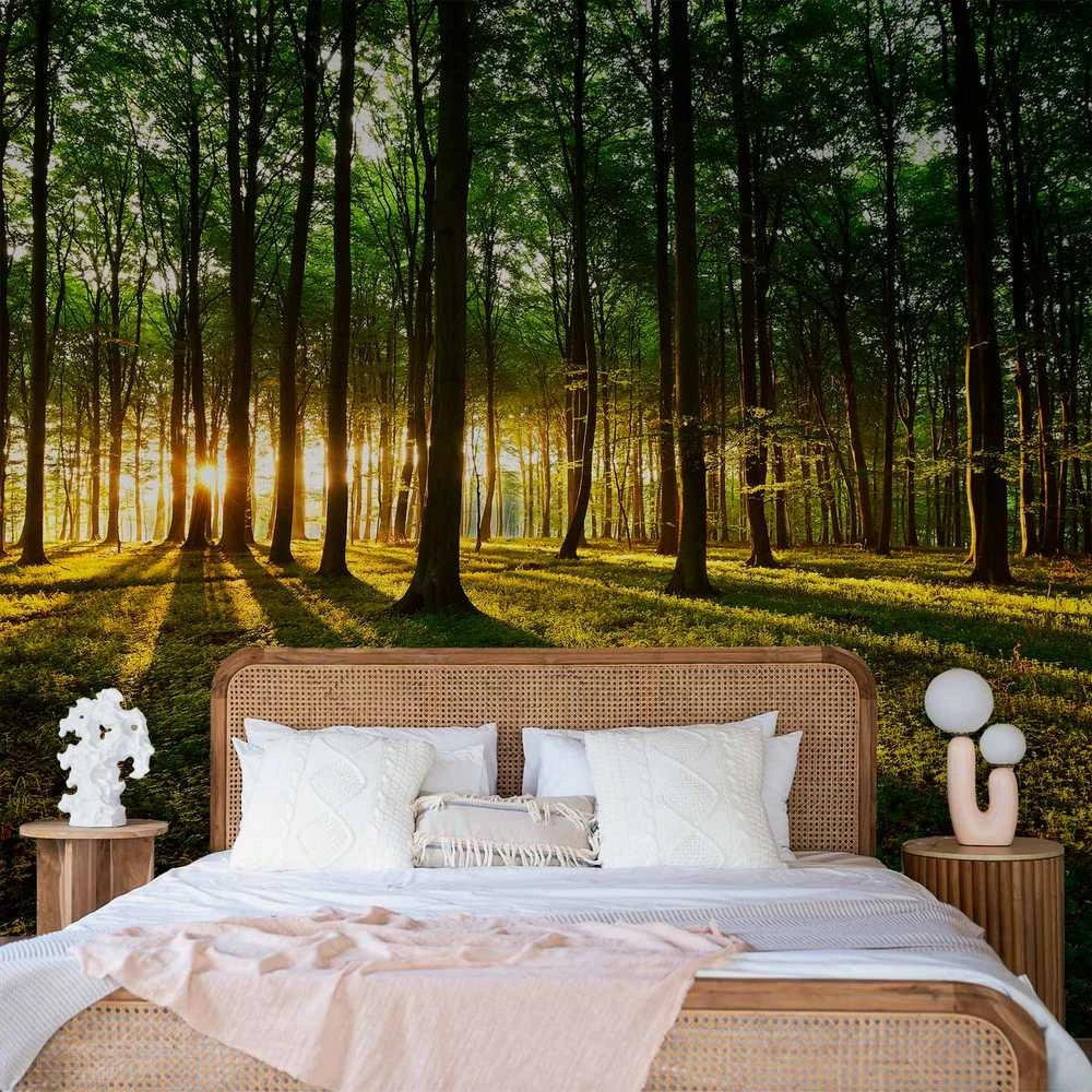 Artgeist Fototapetas - Spring: Morning in the Forest