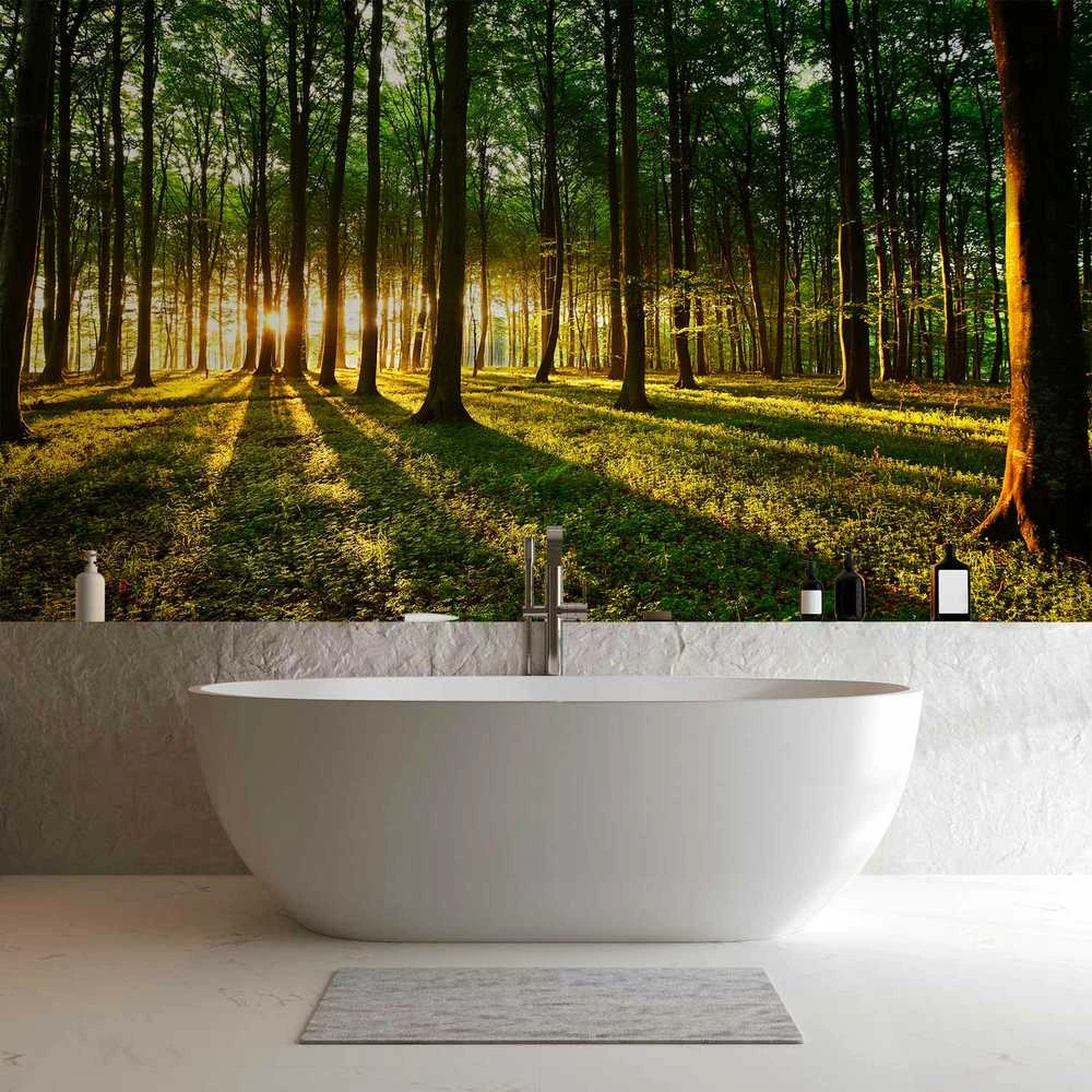 Artgeist Fototapetas - Spring: Morning in the Forest