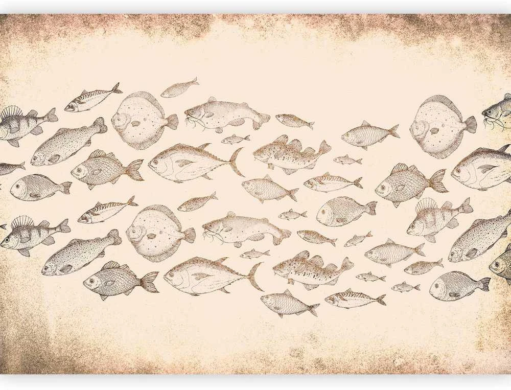 Artgeist Fototapetas - Subtle fish