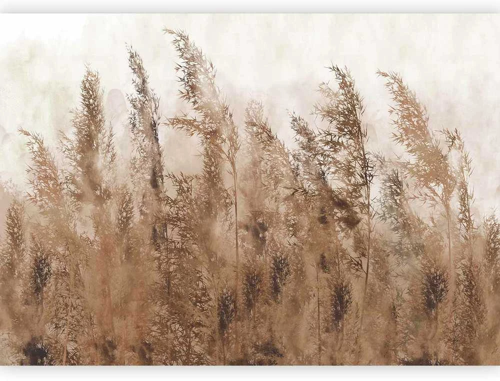 Artgeist Fototapetas - Tall Grasses - Brown