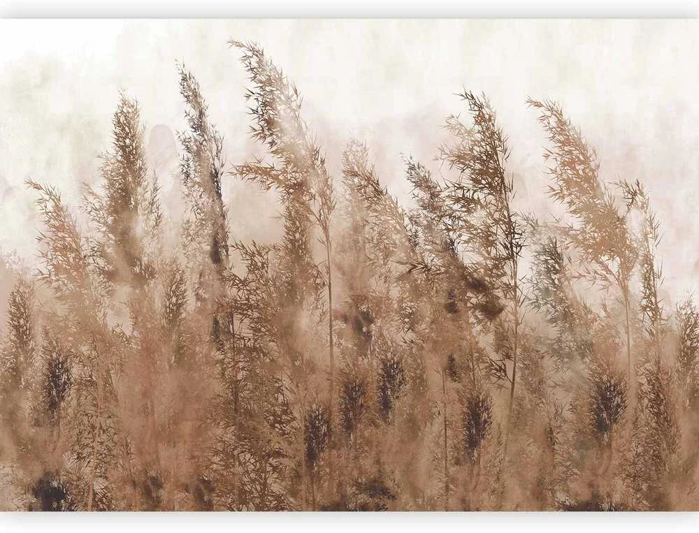 Artgeist Fototapetas - Tall Grasses - Brown